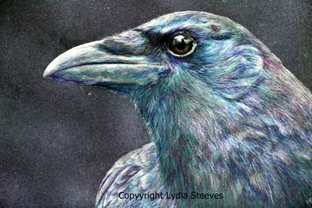 I Love Crows CP Online Class